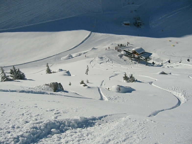 Leysin