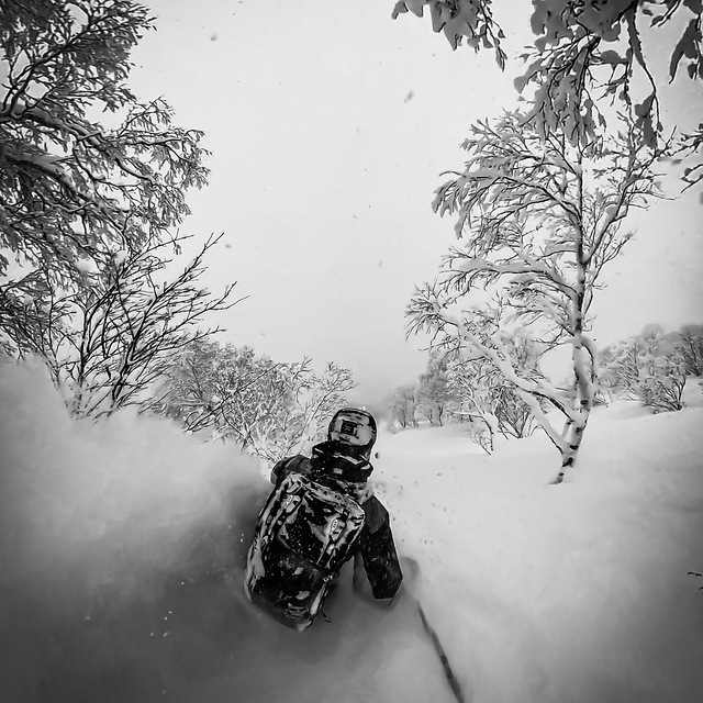 Niseko Hanazono Resort Snow