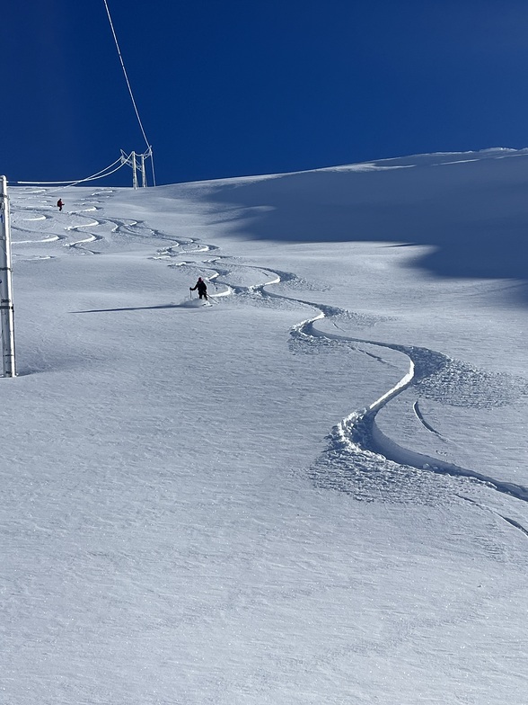 FRESCHTRACKS, Flaine