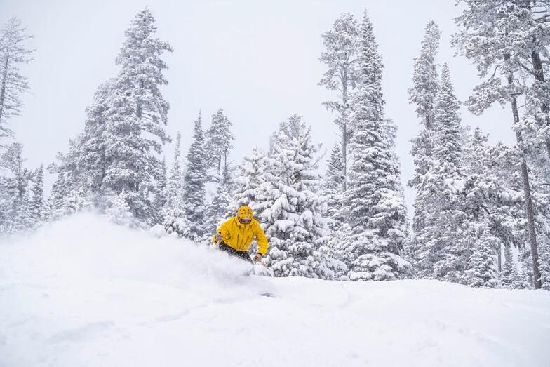 MaJake Forest, Showdown Ski Area