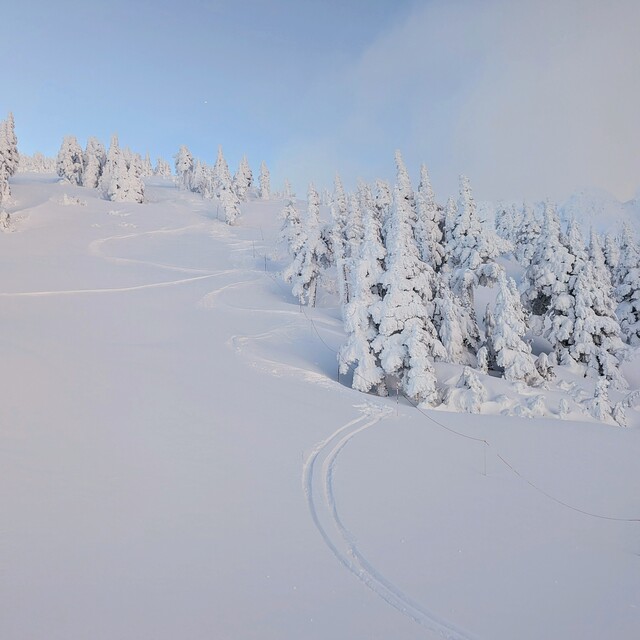 Upper East Boundary, Mount Cain