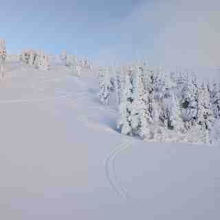 Upper East Boundary, Mount Cain