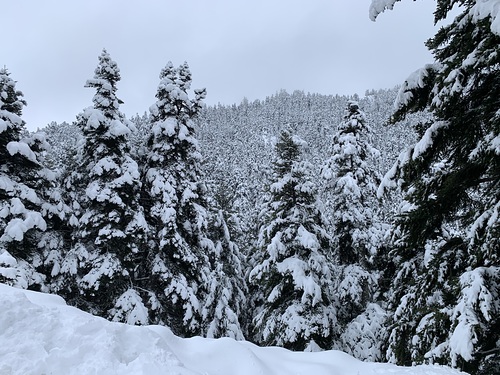 Mt Parnassos-Kelaria Ski Resort by: Panos Kleitsinaris