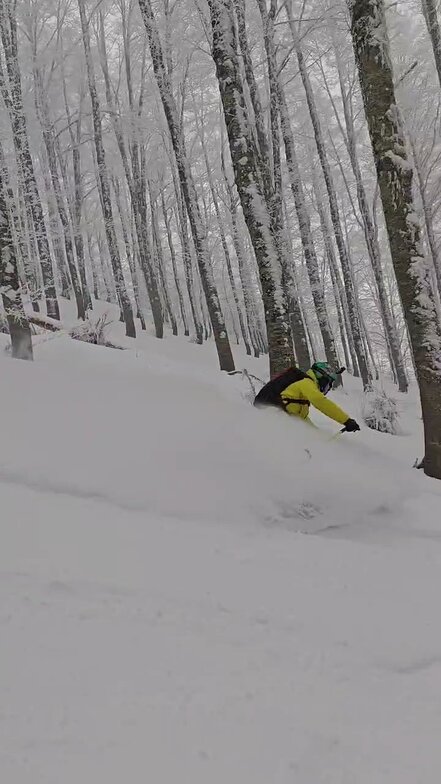 Forrest Lover, Roccaraso