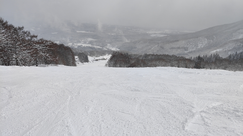 Myoko Suginohara snow