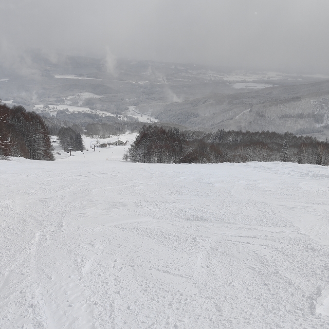 Sugi on boost, Myoko Suginohara