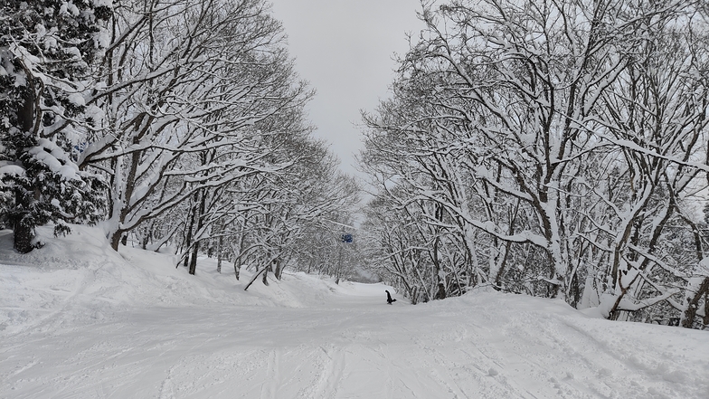 Sugi sweet, Myoko Suginohara