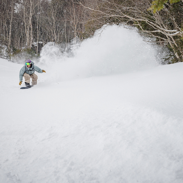 Exceptional powder snow, Japan - Gunma