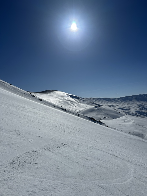 Cedars Mountains Lebanon