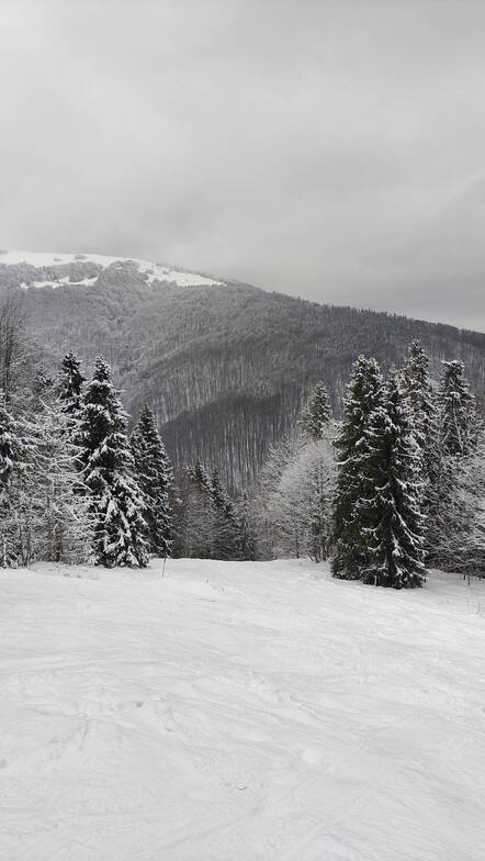 Fresh 2026 February Snow, Pylypets