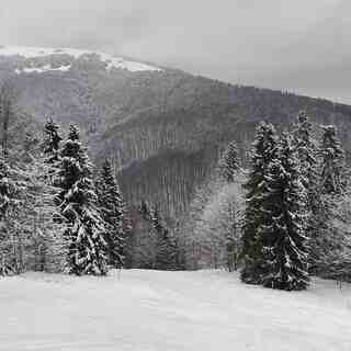 Fresh 2026 February Snow, Pylypets