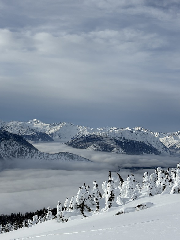 Agter a storm, CMH Monashees