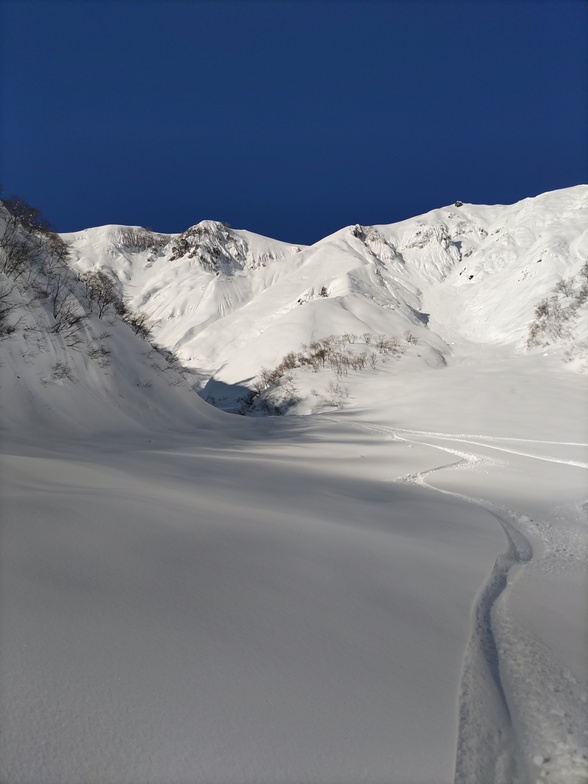 Backcountry Images, Mt.T by Hoshino Resorts