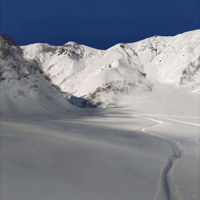 Backcountry Images, Mt.T by Hoshino Resorts