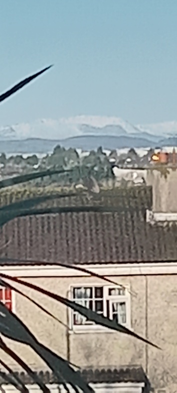 Knockanaffrin from Waterford City, Knockanaffrin (Comeragh Mts)