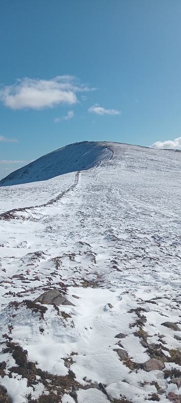 Knockmealdown, Knockmealdown (Knockmealdown Mts)