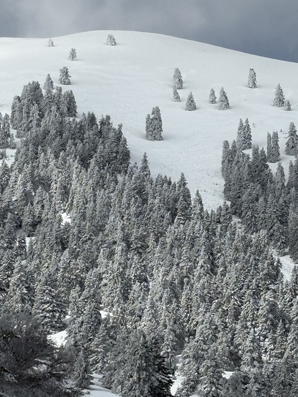 Fantastic day, Kalavryta Ski Resort