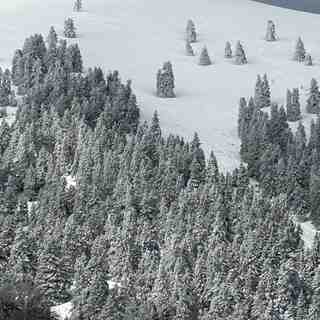 Fantastic day, Kalavryta Ski Resort