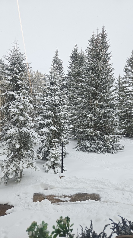 Nevada en primavera, Candanchu