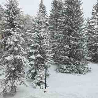 Nevada en primavera, Candanchu