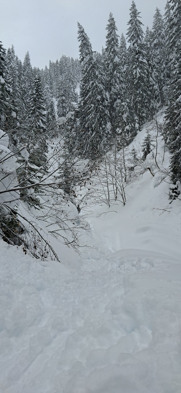 Forests of La Giettaz, La Giettaz en Aravis