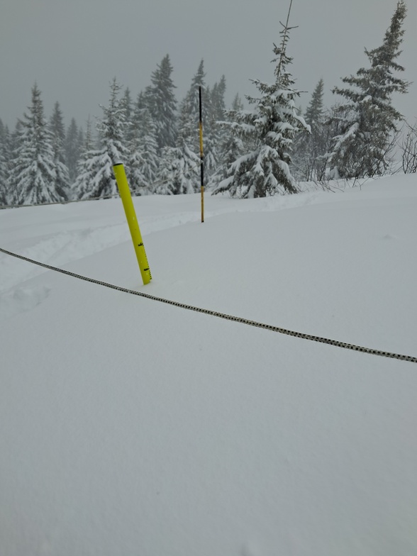 245cm of snow, La Giettaz en Aravis
