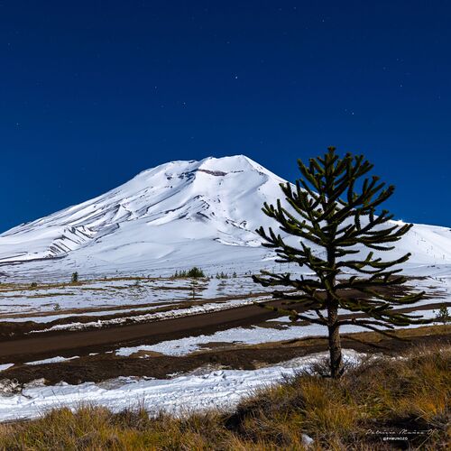 Corralco Ski Resort by: Suizandina Lodge, Malalcahuello, Chile.