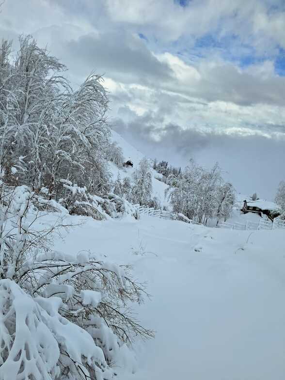 lates fall, Lagunillas Ski Center