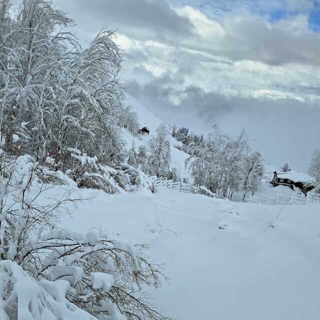 lates fall, Lagunillas Ski Center