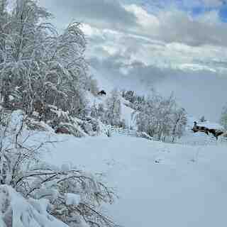 lates fall, Lagunillas Ski Center