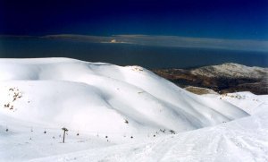 Descending from Mzaar,lebanon, Cedars