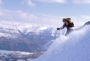 Also in lebanon;), Cedars