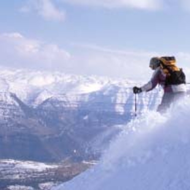 Also in lebanon;), Cedars