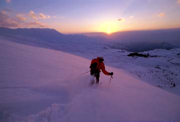 Sunset in the cedars