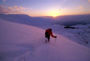 Sunset in the cedars photo