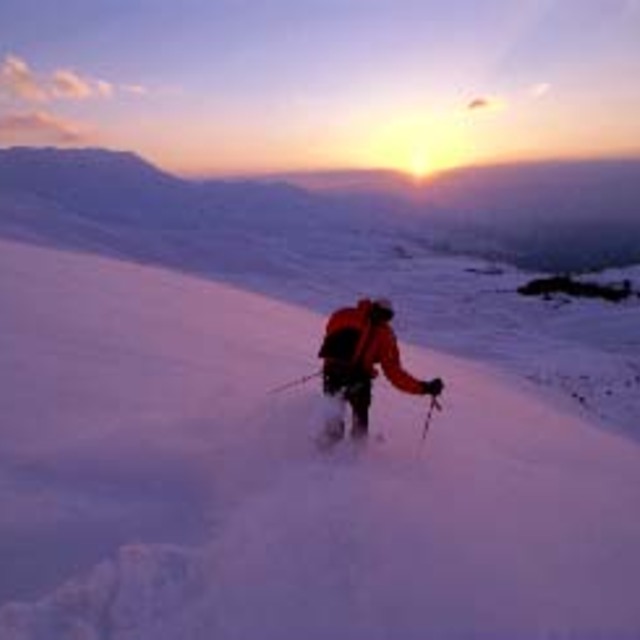 Sunset in the cedars