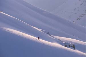 Believe it or not,this is in lebanon!!!!!!!!!, Cedars