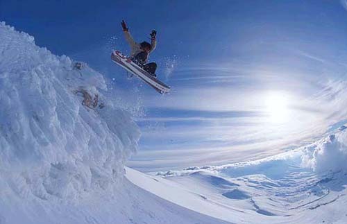 above the clouds in the cedars