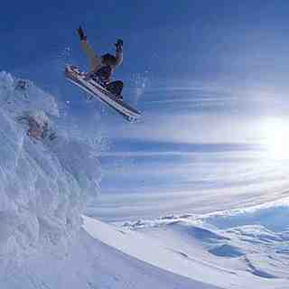 above the clouds in the cedars