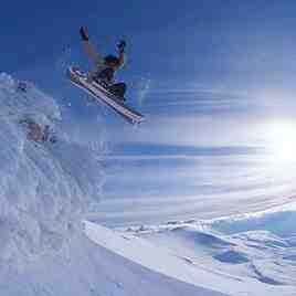 above the clouds in the cedars