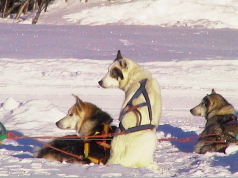 what you looking at, Geilo