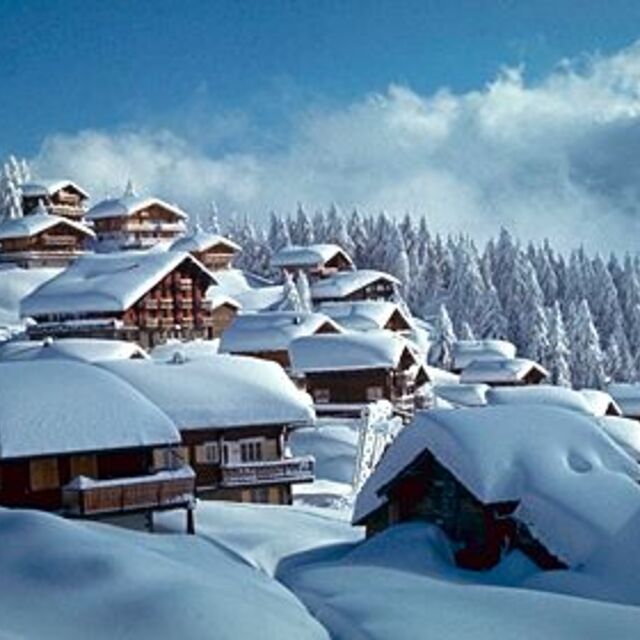 Bettmeralp - Aletsch Snow: Bettmeralp, Valais