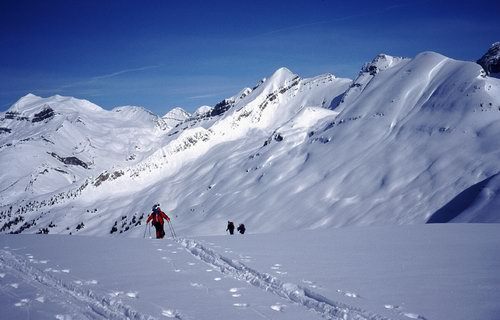 Rocky Mountain snow