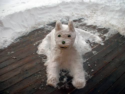 Snow Dog, Isola 2000