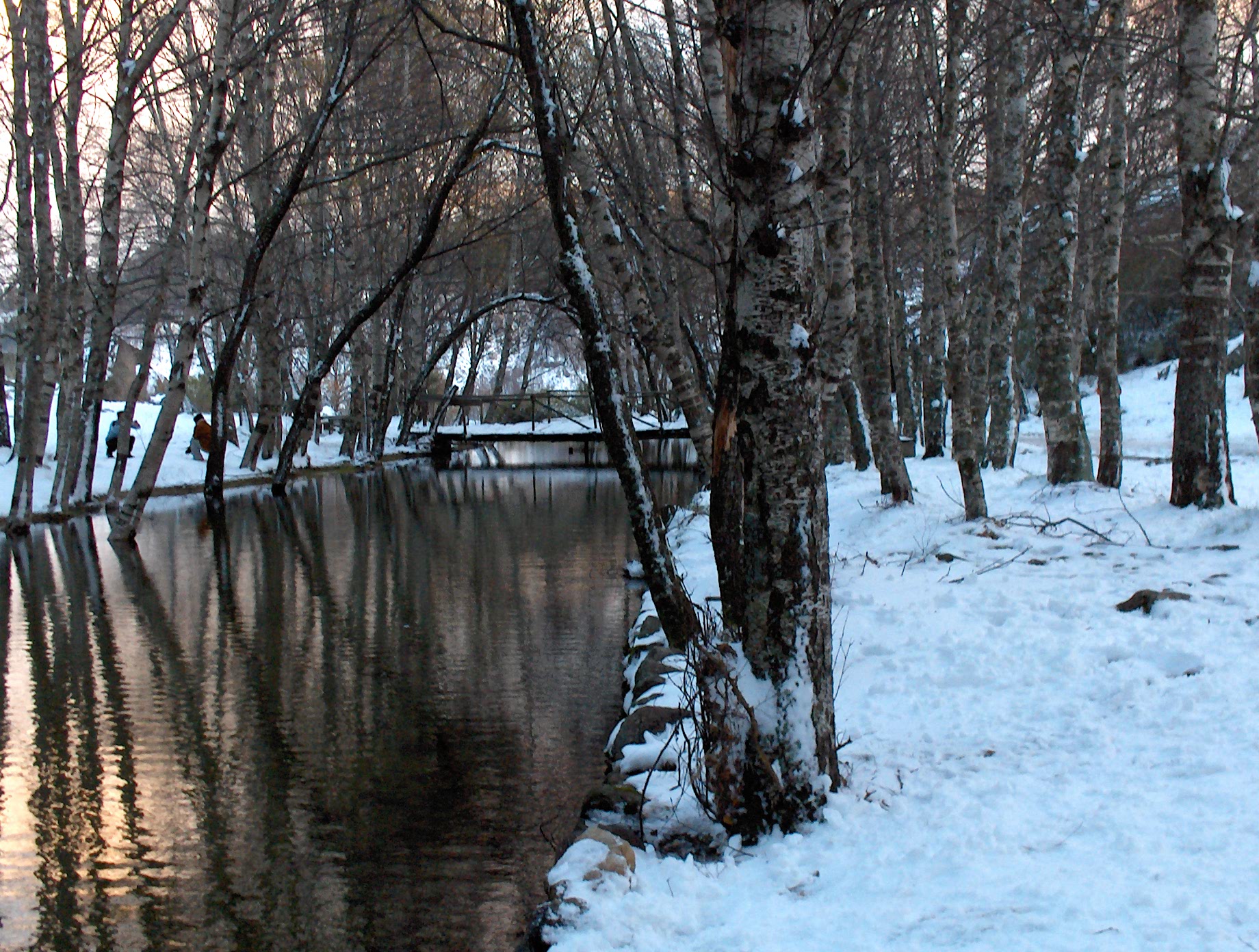 Serra da Estrela