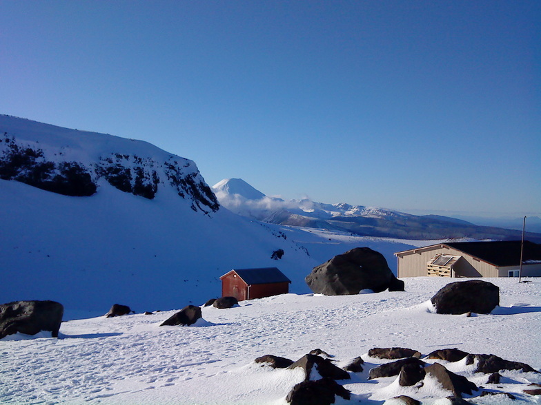 Bluebird Day, Tukino, NZ