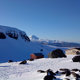 Bluebird Day, Tukino, NZ