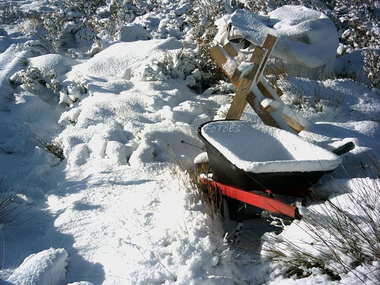 Work Up the Mountain, Ben Lomond