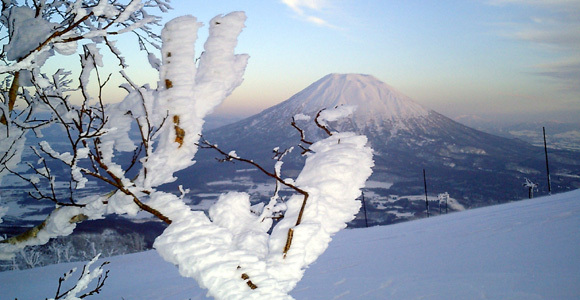 Ice formations, Niseko Weiss
