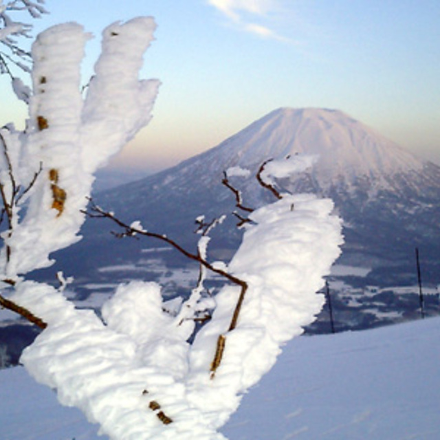 Ice formations, Niseko Weiss